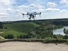 Luxaviation Drone over European Vineyard