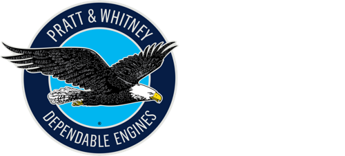 PWC White Logo again