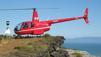 Robinson R44 Raven II 1