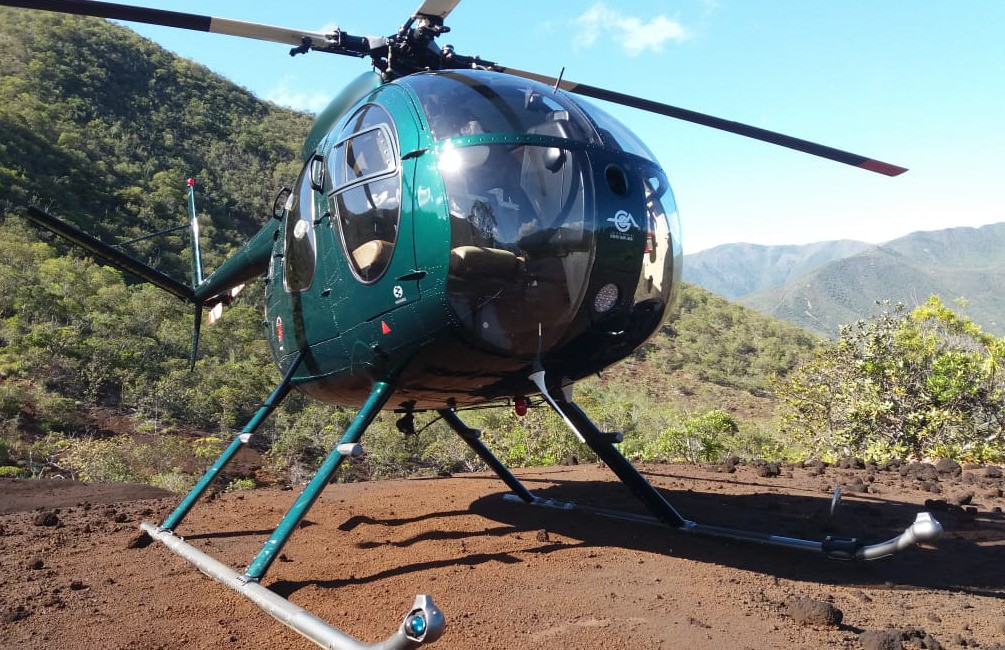 1976 McDonnell Douglas 500C For Sale NZ. 4700 AvBuyer