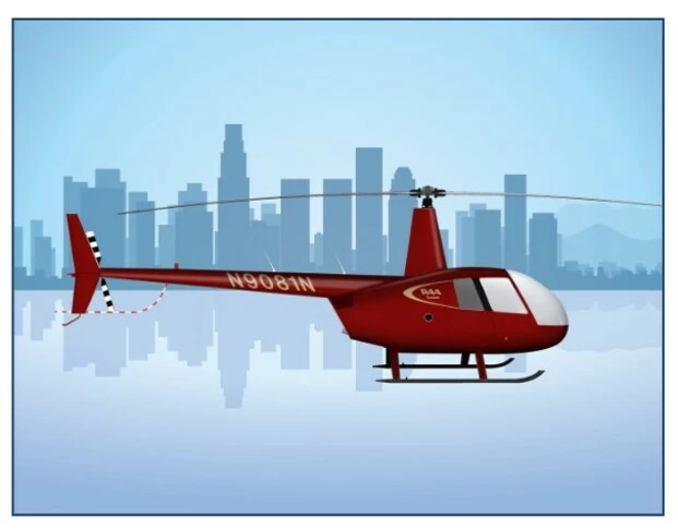 ROBINSON R44 CADET