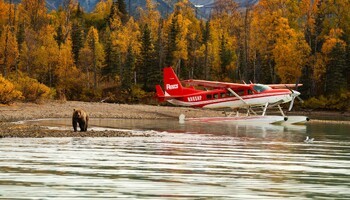 1985 Cessna Caravan 208, England, United Kingdom, photo 10