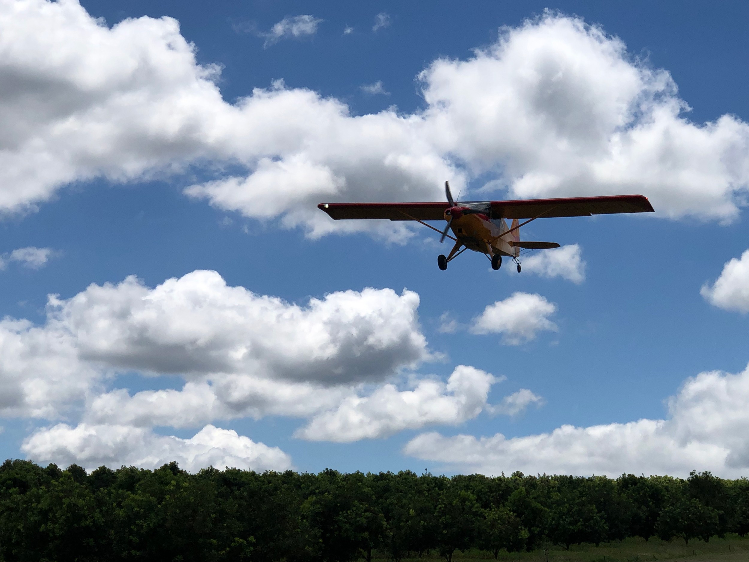 2022 Bearhawk Bravo, photo 2