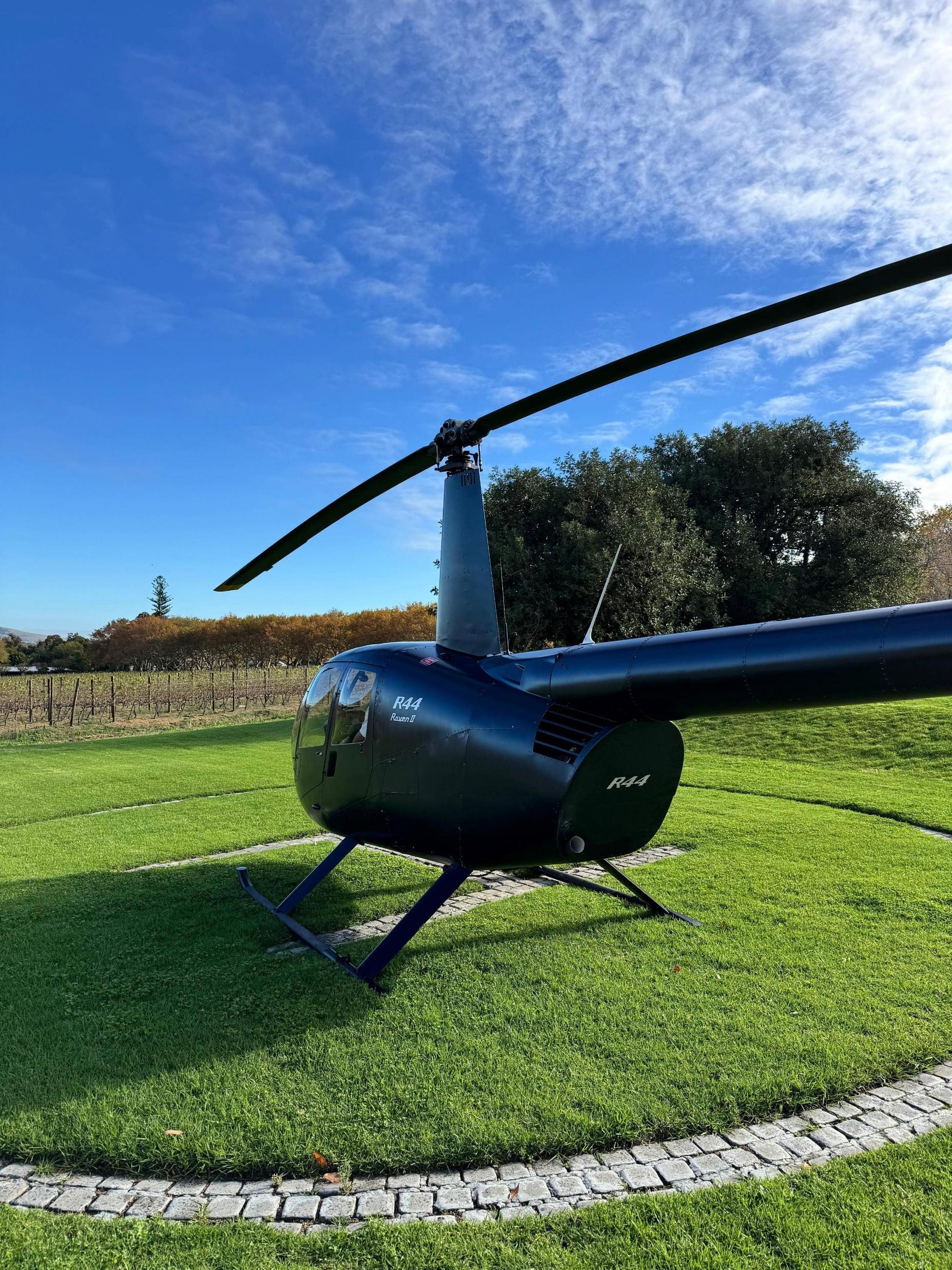 2009 Robinson R44 Raven II, photo 4