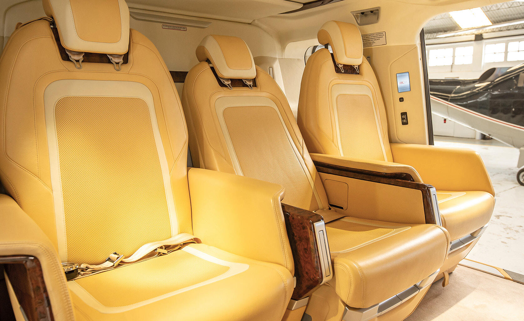 2016 Leonardo AW169, photo 5