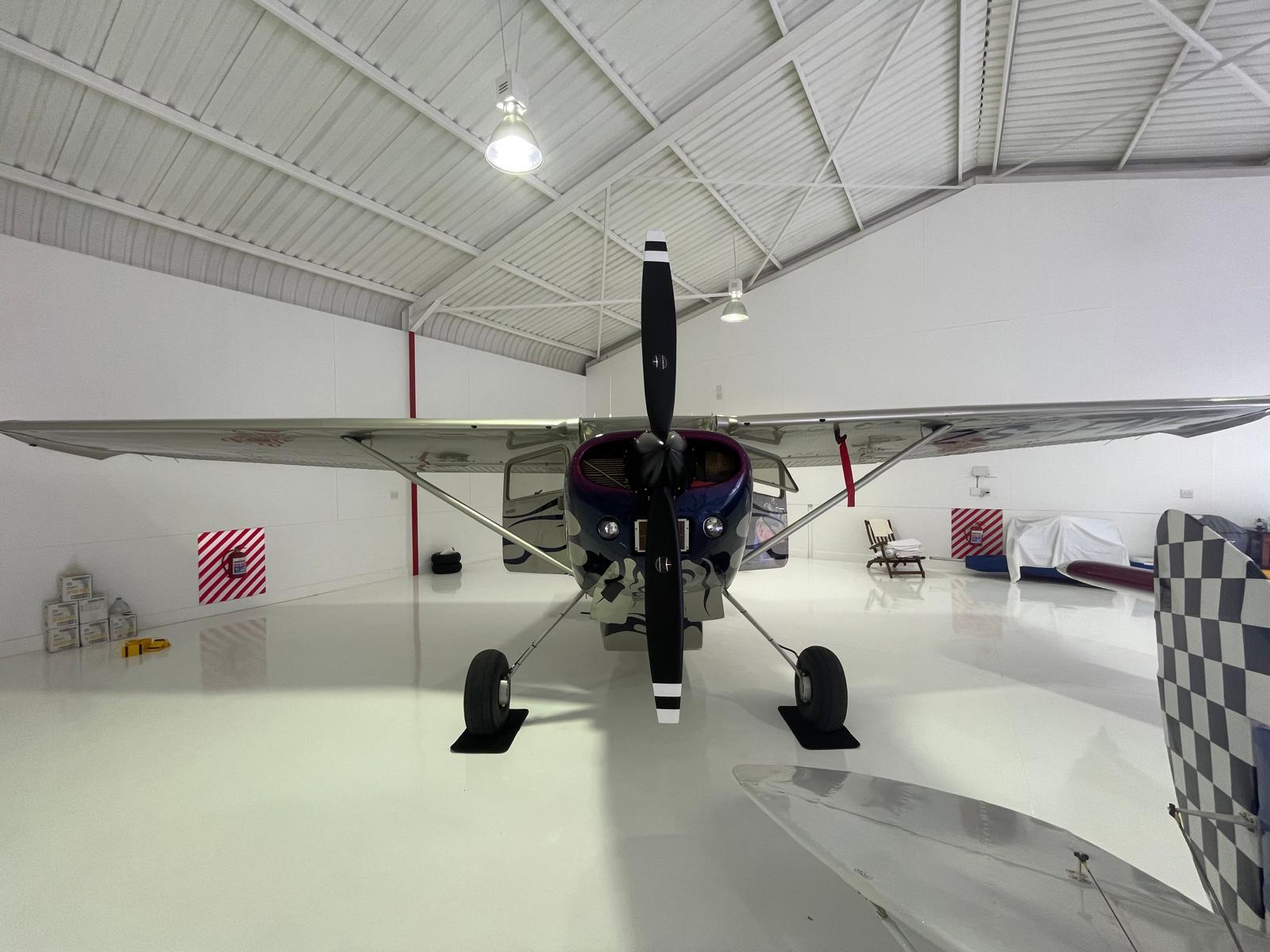 1980 Cessna 185, photo 2
