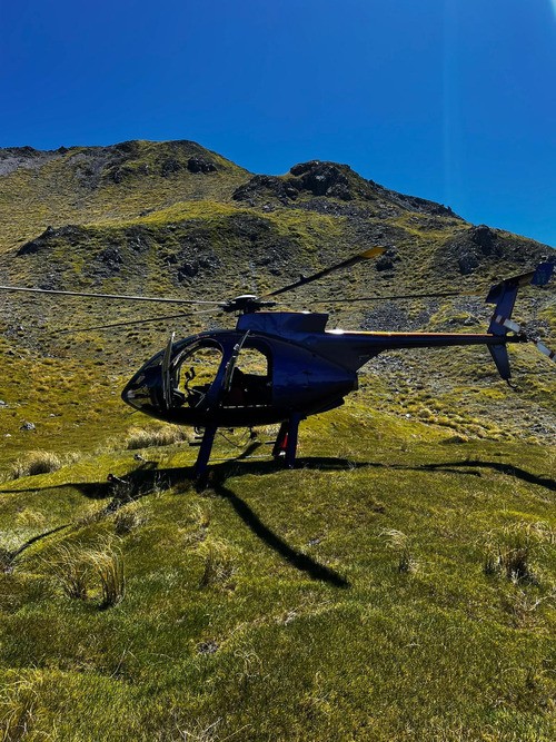 1987 McDonnell Douglas 530FF, photo 6